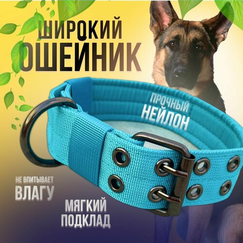 ���� ������� ��� ������� ����� � ������ ������� � ������� �����, �������, ����������, � ���������, ������ ������