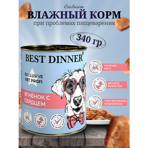     Best Dinner Vet Profi GastroIntestinal         (340 .)   -     , -  