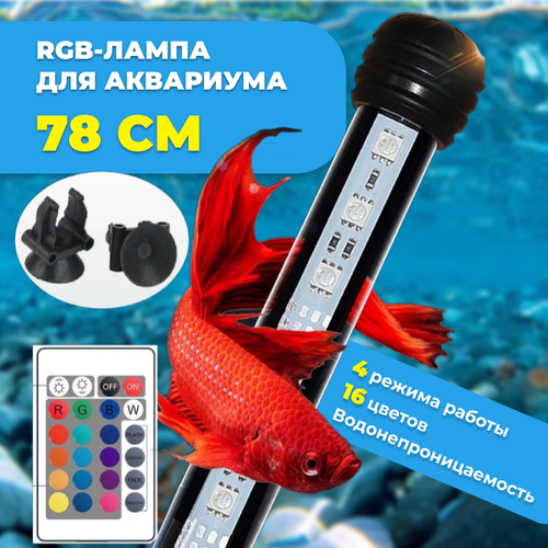  RGB-  , 78 ,      -     , -  