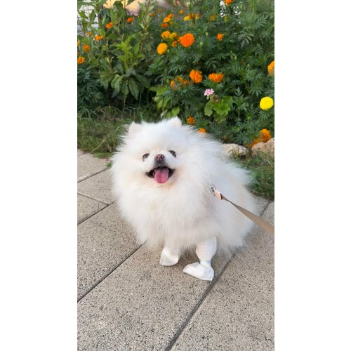 ���� ������ ����� ��� �������� 20 ���� S, ������ ������