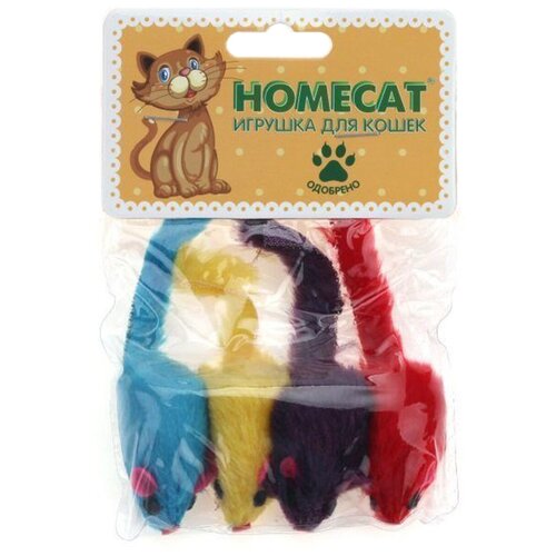  HOMECAT 4  5        