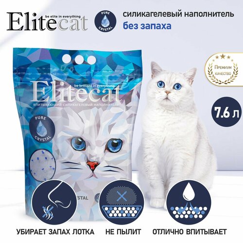          ELITECAT 