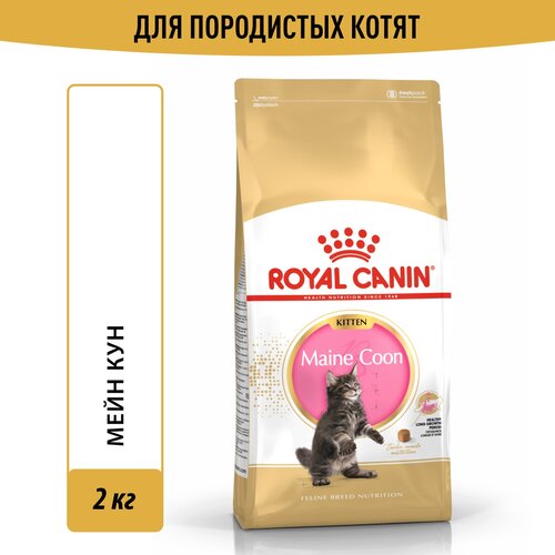    Royal Canin Maine Coon Kitten (  )       4  15 , 2    -     , -  