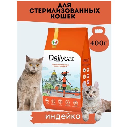  Dailycat casual     ,   1,5   -     , -,   