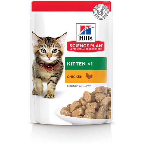   Hill's Science Plan Kitten ( )       0,085    -     , -,   
