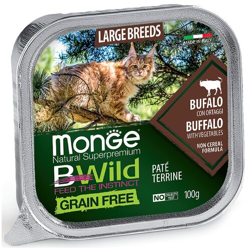  Monge BWild   ()     2 *100    -     , -,   