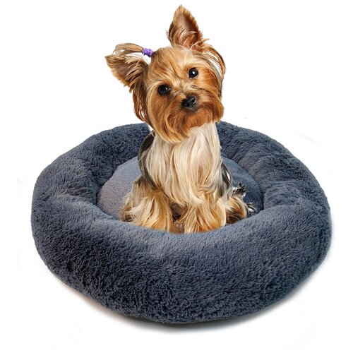 ���� �������� ������� ��� ����� � �����, �������, ������� 40 ��, ����: ����������, ������ ������