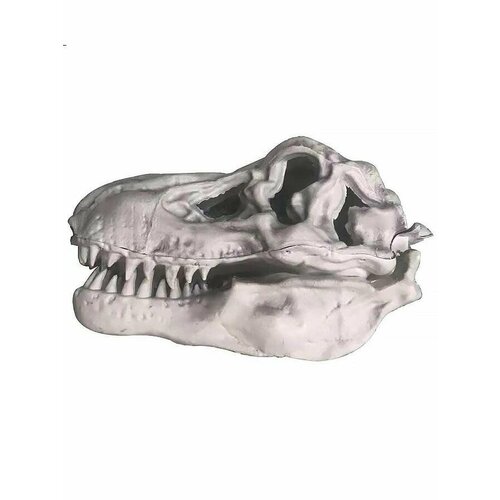 ���� ����� ��������� 45 �� ����������� �� ��������, ������ ������