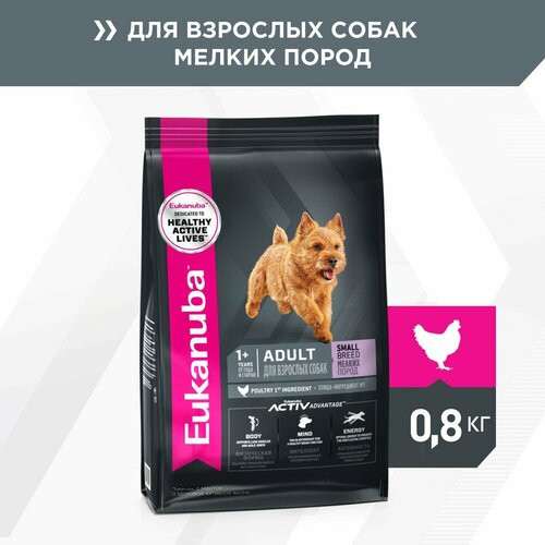  EUKANUBA ADULT SMALL BREED 800         3   -     , -  