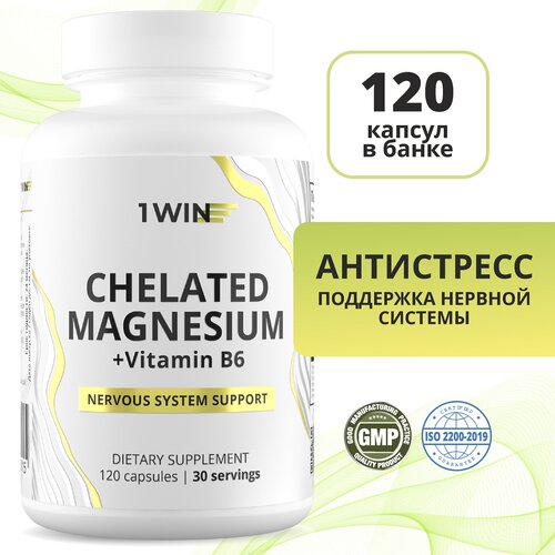 ���� ������ ����� � ��������� �6, �������� ��� ������ �� �������� � ����������, 120 ������, ������ ������