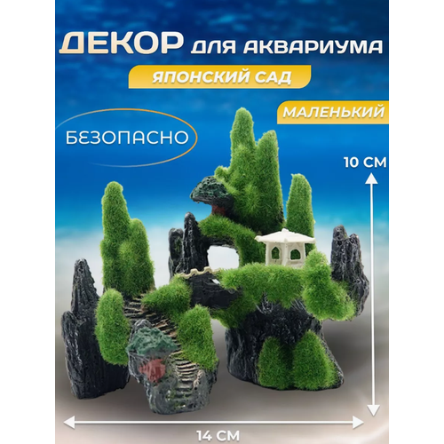 ���� �������� ��� ��� ��������� 2, ������ ������