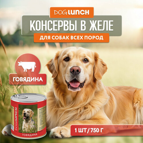      Dog Lunch  1 .  1 .  750    -     , -  