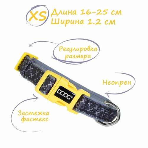 ���� ��� ����������� ������������� ������� DOOG �����������, ������ ��� 14-25 ��, ������/�����, XS, ������ ������