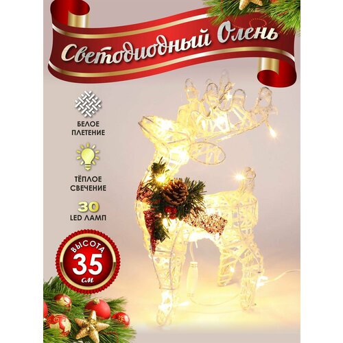 ���� ����� ���������� ������������ ���������� 30 �� �����, ������ ������