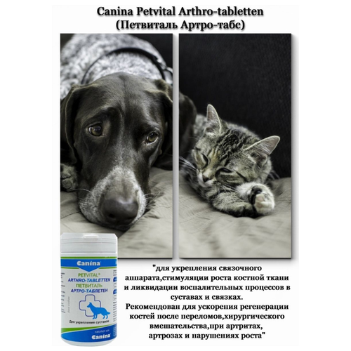  Canina Petvital Arthro-Tabletten        500  (1 )   -     , -,   