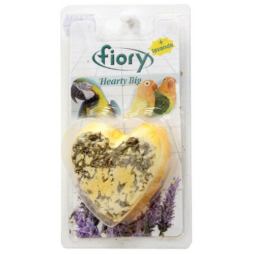  Fiory Hearty -  ,   100  (2 )
