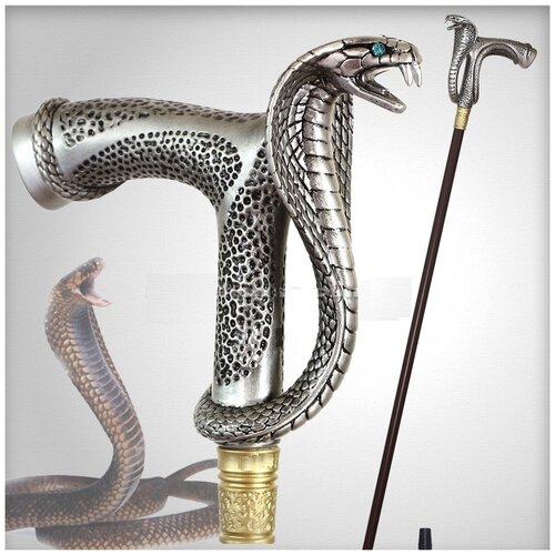 ���� ������ ������� 