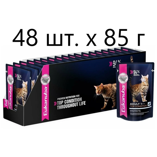      Eukanuba Top Condition Adult 1+ years,      ,  , 20 .  85  (  )   -     , -,   