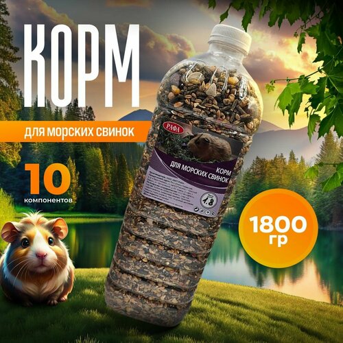 ���� ���� ��� ������� ������, ��������, �������, ���� � ����� ���� 1,8 ��, ������ ������