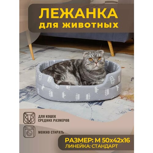 ���� ������� ��� ����� � ����� ������� �����, ����, ������ ������