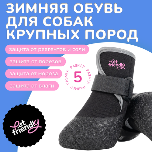 ���� ����� ��� ����� ������� ����� � ������� �� ��������� � ����, ������������� ����� ��� ����� � �����������, ������ 5, ������ ������