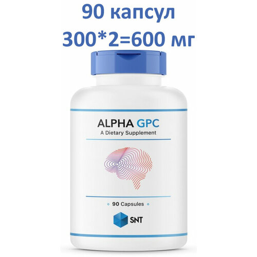 ���� SNT Alpha GPC 600 �� 90 ������, ������ ������