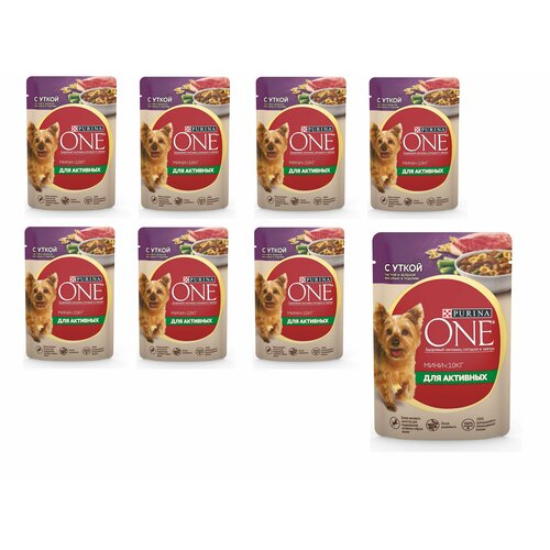    Purina ONE   ,    ,  ,       85  8    -     , -  