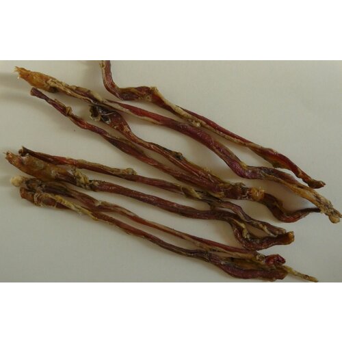 ���� ������ ������� �������, 100 ��., ������ ������