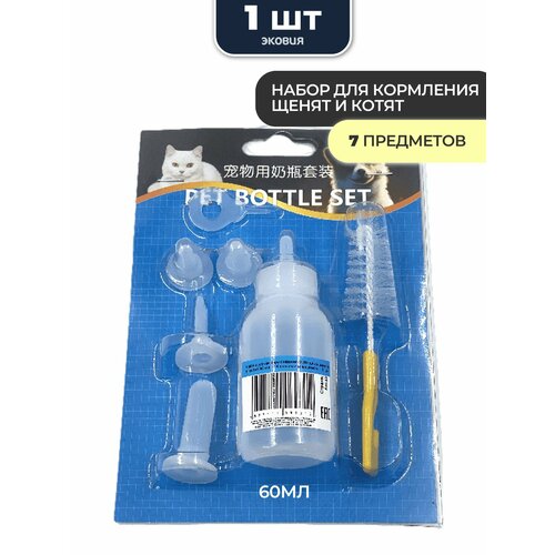 ���� ����� ��� ������������� ����� � ����� �����������, ������ ������