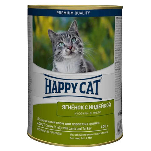     Happy Cat     . (, ), 400 .  12 . ()   -     , -  