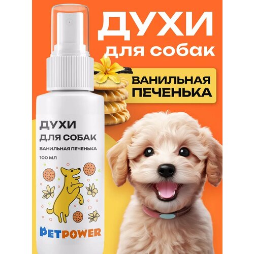 ���� ���� ��� ����� �� ������ ������, ������ ������