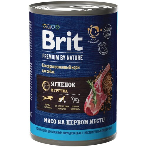 BRIT 410       Premium    