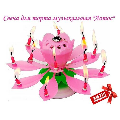 ���� ����� ��� ����� ����������� 