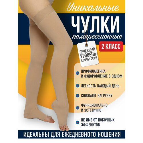 ���� ����� �������������� 2 ����� XL (5) ������� � �������� ������, ������ ������