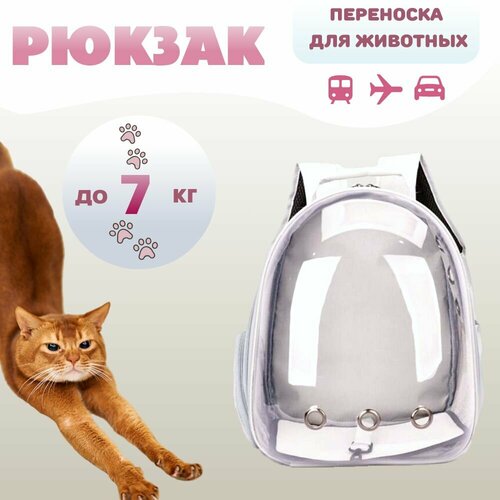 ���� ��������� ��� ����� � ����� ������ ����� � ���������� �������, ������ ������