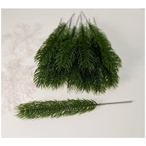 ���� ����� ������ �� ������������� ����� . ���� ������. ������ 23 ��. �������� 10 ��., ������ ������