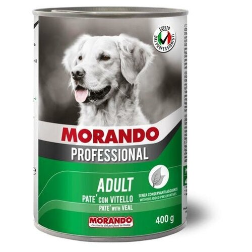   Morando Professional  ,   , 400    -     , -,   
