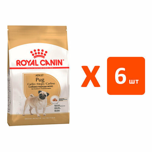  ROYAL CANIN PUG ADULT     (1,5   6 )   -     , -  