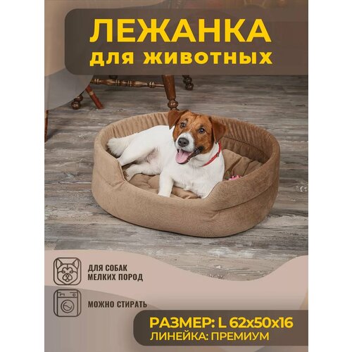 ���� ����� ��� ����� � ����� �������, �����, ������ ������