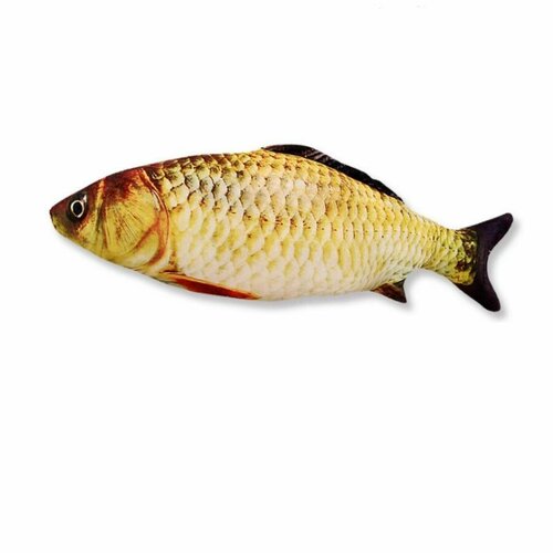 ���� ������� ���� � �������� �����, ������ ������