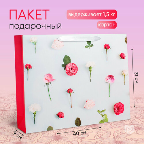 ���� ����� ���������� �������������� ��� ���������, 40 � 31 � 9 ��, ������ ������