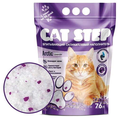    Cat Step Arctic Lavnder, 7.6, 1 .   -     , -  