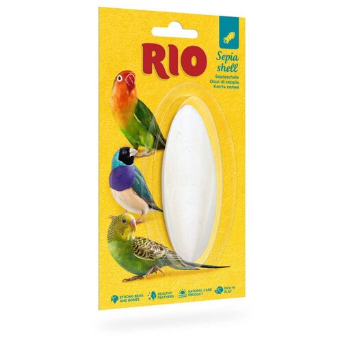      RIO  , M    -     , -,   