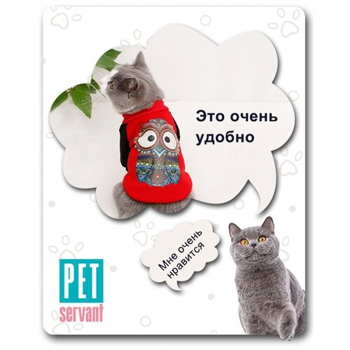     ,           P0037-08-XL PET SERVANT