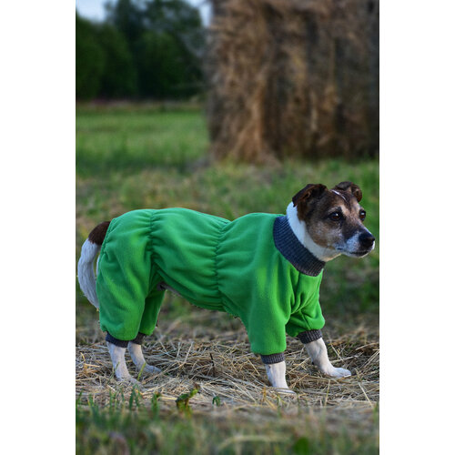 ���� ���������� �������� �������� ��� �����-��������� �.18 ��. ���������, ������ ������