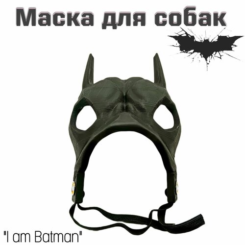 ���� ����� ��� ������ ������, ������ ������