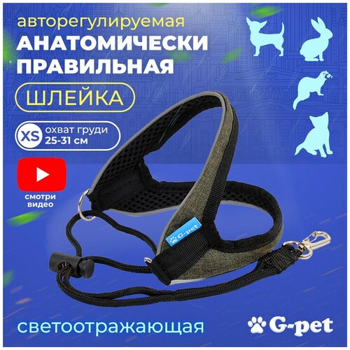          3  G-pet   - XS (25-31 )          -     , -  