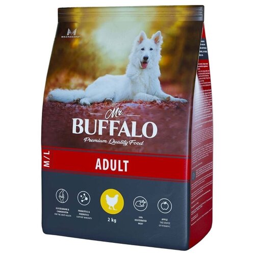  Mr.Buffalo Adult 1 -2 ()           -     , -,   