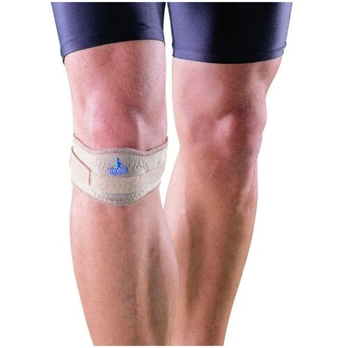 ���� ������ ����������� ����������������� �� �������� ������ OPPO 1429, ������ ������