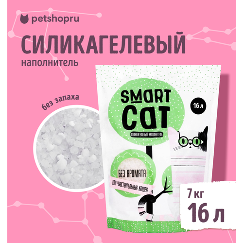   Smart Cat, ,   ,   7    -     , -  